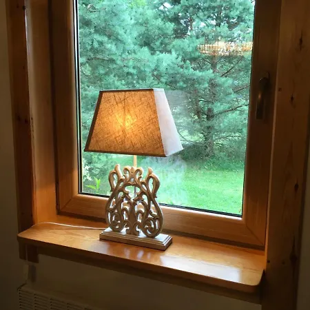 Willa Deluxe Zdrojowa -willa Typu Alpejskiego W Borach Tucholskich-całoroczna Balia Z Jacuzzi-prywatny I Strumyk -duża Wiata Grillowa *