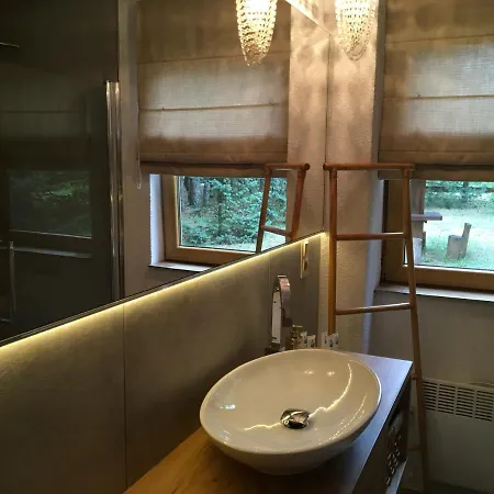 Deluxe Zdrojowa -willa Typu Alpejskiego W Borach Tucholskich-całoroczna Balia Z Jacuzzi-prywatny I Strumyk -duża Wiata Grillowa * Osowek