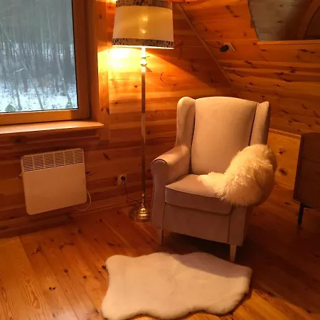 Willa Deluxe Zdrojowa -willa Typu Alpejskiego W Borach Tucholskich-całoroczna Balia Z Jacuzzi-prywatny I Strumyk -duża Wiata Grillowa Osowek