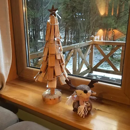 Deluxe Zdrojowa -willa Typu Alpejskiego W Borach Tucholskich-całoroczna Balia Z Jacuzzi-prywatny I Strumyk -duża Wiata Grillowa *