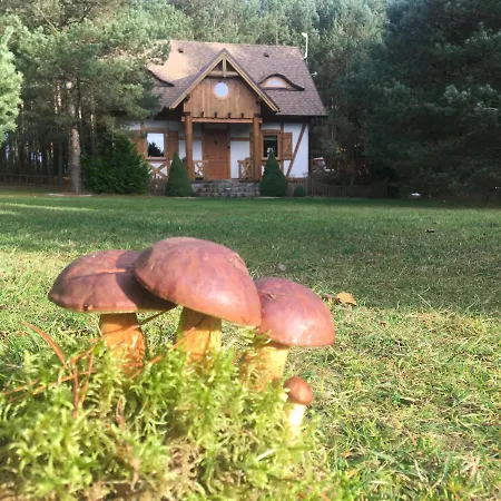 Deluxe Zdrojowa -willa Typu Alpejskiego W Borach Tucholskich-całoroczna Balia Z Jacuzzi-prywatny I Strumyk -duża Wiata Grillowa Willa Osowek