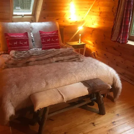 Villa Deluxe Zdrojowa -willa Typu Alpejskiego W Borach Tucholskich-caloroczna Balia Z Jacuzzi-prywatny I Strumyk -duza Wiata Grillowa *