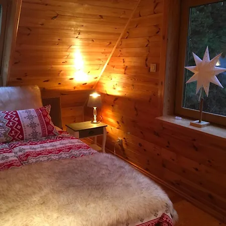 Deluxe Zdrojowa -willa Typu Alpejskiego W Borach Tucholskich-caloroczna Balia Z Jacuzzi-prywatny I Strumyk -duza Wiata Grillowa Osowek