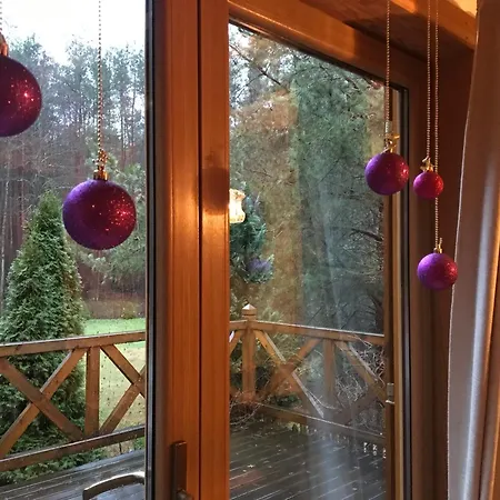 Deluxe Zdrojowa -willa Typu Alpejskiego W Borach Tucholskich-całoroczna Balia Z Jacuzzi-prywatny I Strumyk -duża Wiata Grillowa Willa *