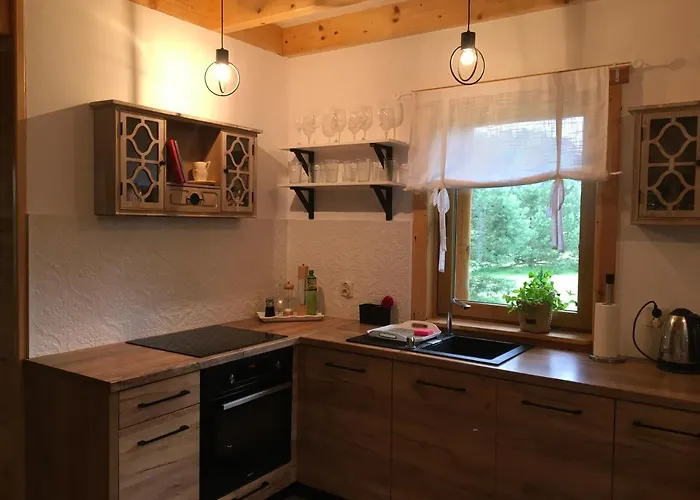 Deluxe Zdrojowa -willa Typu Alpejskiego W Borach Tucholskich-caloroczna Balia Z Jacuzzi-prywatny I Strumyk -duza Wiata Grillowa