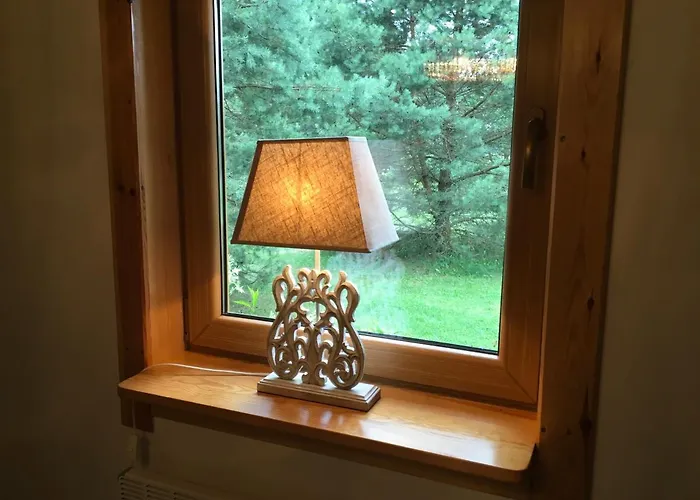 Villa Deluxe Zdrojowa -willa Typu Alpejskiego W Borach Tucholskich-caloroczna Balia Z Jacuzzi-prywatny I Strumyk -duza Wiata Grillowa *