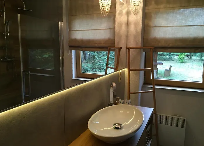 Deluxe Zdrojowa -willa Typu Alpejskiego W Borach Tucholskich-caloroczna Balia Z Jacuzzi-prywatny I Strumyk -duza Wiata Grillowa * Osowek