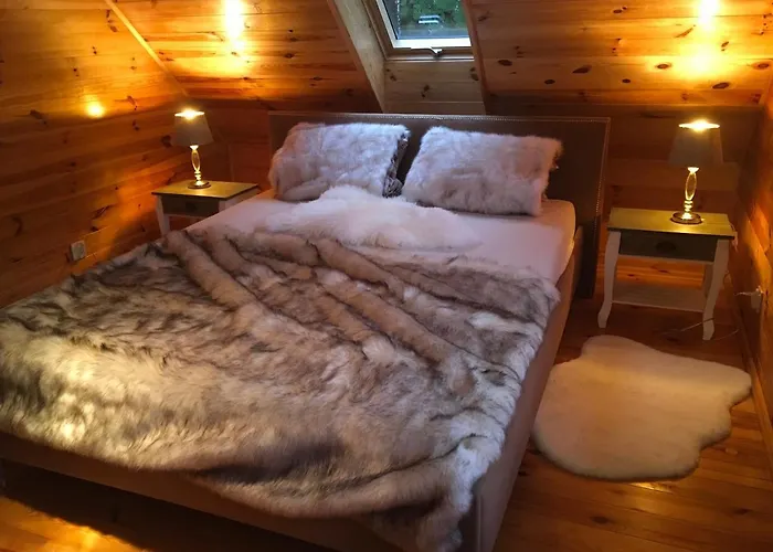 Deluxe Zdrojowa -willa Typu Alpejskiego W Borach Tucholskich-caloroczna Balia Z Jacuzzi-prywatny I Strumyk -duza Wiata Grillowa Osowek