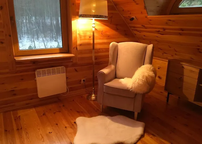 Villa Deluxe Zdrojowa -willa Typu Alpejskiego W Borach Tucholskich-caloroczna Balia Z Jacuzzi-prywatny I Strumyk -duza Wiata Grillowa Osowek