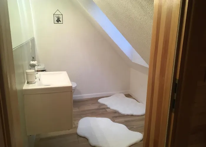 Deluxe Zdrojowa -willa Typu Alpejskiego W Borach Tucholskich-caloroczna Balia Z Jacuzzi-prywatny I Strumyk -duza Wiata Grillowa Villa *