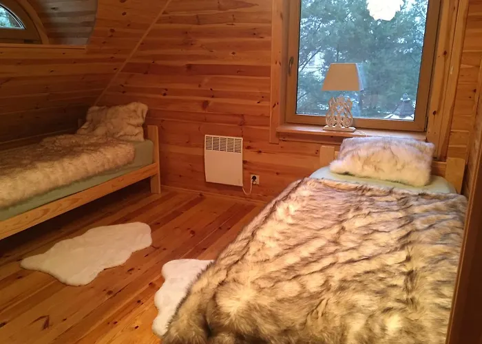 Deluxe Zdrojowa -willa Typu Alpejskiego W Borach Tucholskich-caloroczna Balia Z Jacuzzi-prywatny I Strumyk -duza Wiata Grillowa Osowek