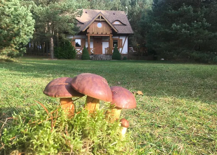 Deluxe Zdrojowa -willa Typu Alpejskiego W Borach Tucholskich-caloroczna Balia Z Jacuzzi-prywatny I Strumyk -duza Wiata Grillowa Βίλα Osowek