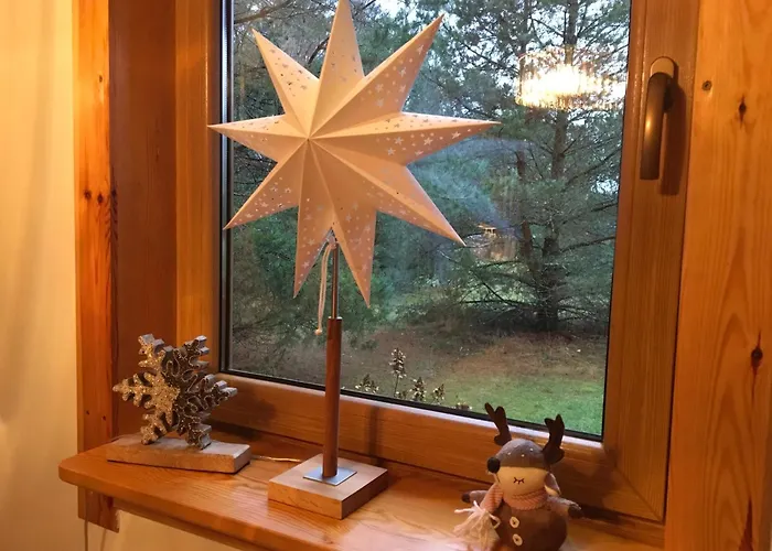 Deluxe Zdrojowa -willa Typu Alpejskiego W Borach Tucholskich-caloroczna Balia Z Jacuzzi-prywatny I Strumyk -duza Wiata Grillowa Villa